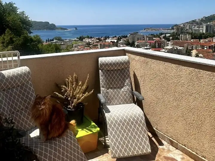 Flat 45m² in Montenegro, Budva. Priced at 123000€ rent photo-1