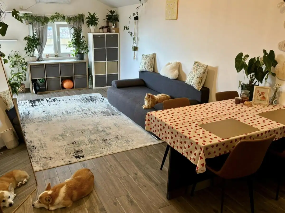 Flat 45m² in Montenegro, Budva. Priced at 123000€ rent photo-3