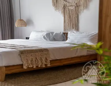 Buy in Indonesia for 360000$