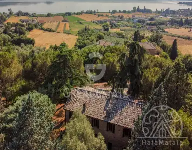 Buy in Italy for 690000€