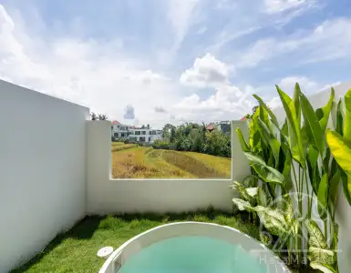 Buy in Indonesia for 85000$