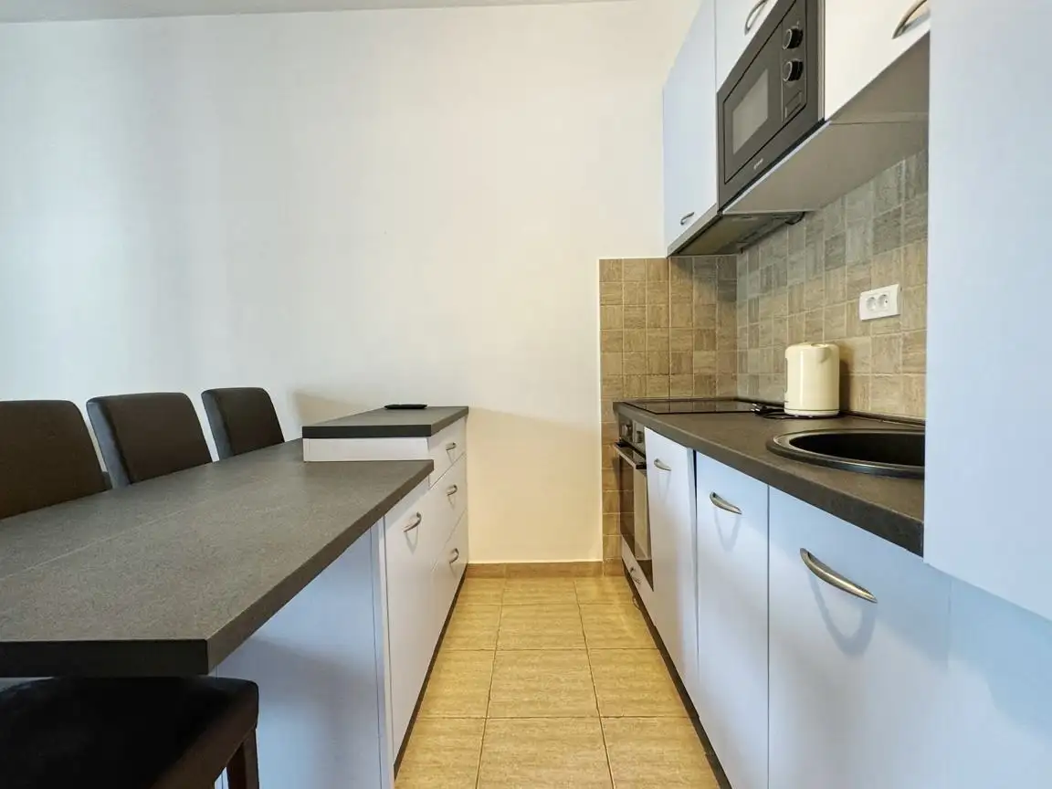 Flat 42m² in Montenegro, Becici. Priced at 116000€ rent photo-15
