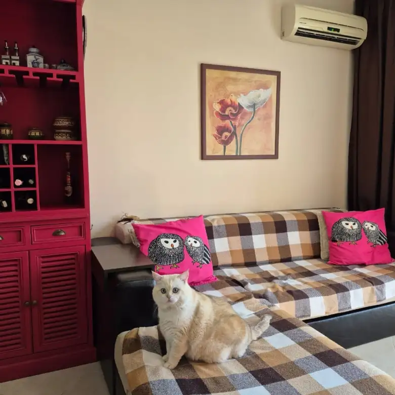 Flat 55m² in Bulgaria, Sunny Beach. Priced at 103500€ rent photo-8