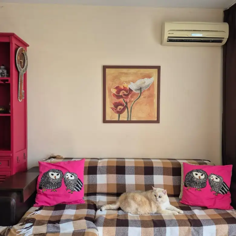 Flat 55m² in Bulgaria, Sunny Beach. Priced at 103500€ rent photo-9