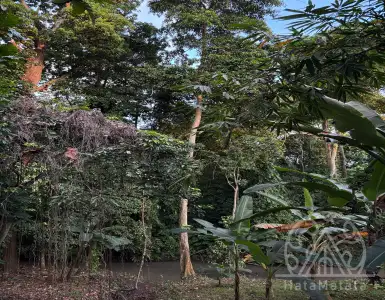 Buy in Indonesia for 155000$
