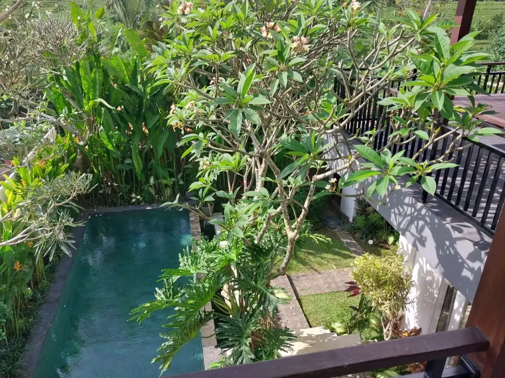 Villa 170m² in Indonesia, Canggu. Priced at 24320$ rent photo-2