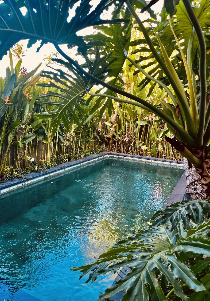 Villa 170m² in Indonesia, Canggu. Priced at 24320$ rent photo-4