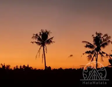 Rent in Indonesia for 24320$
