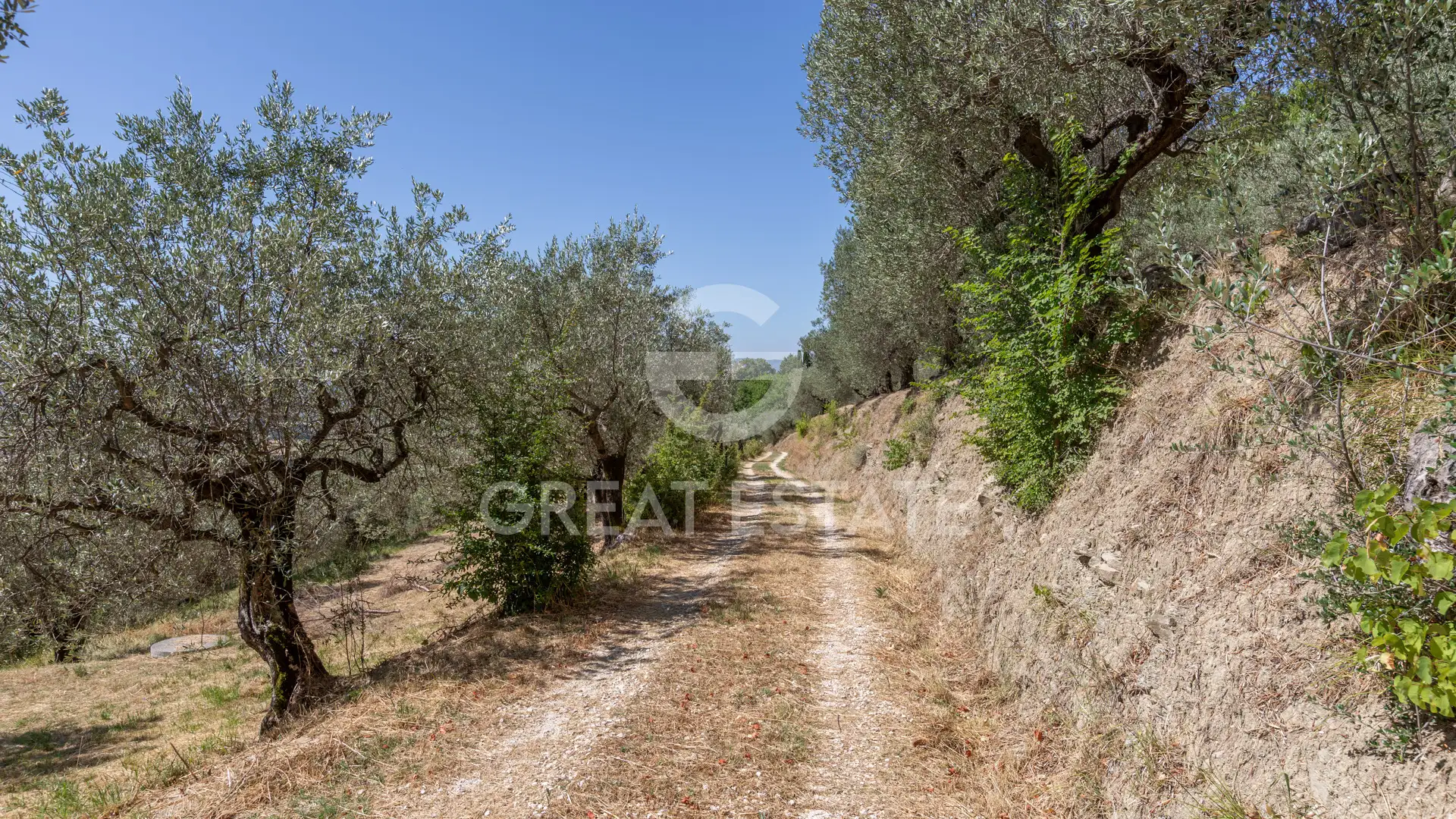 House 559m² in Italy, Perugia. Priced at 1200000€ rent photo-10