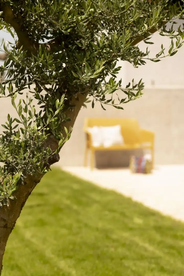 Villa 230m² in Croatia, Rovinj. Priced at 635000€ rent photo-8
