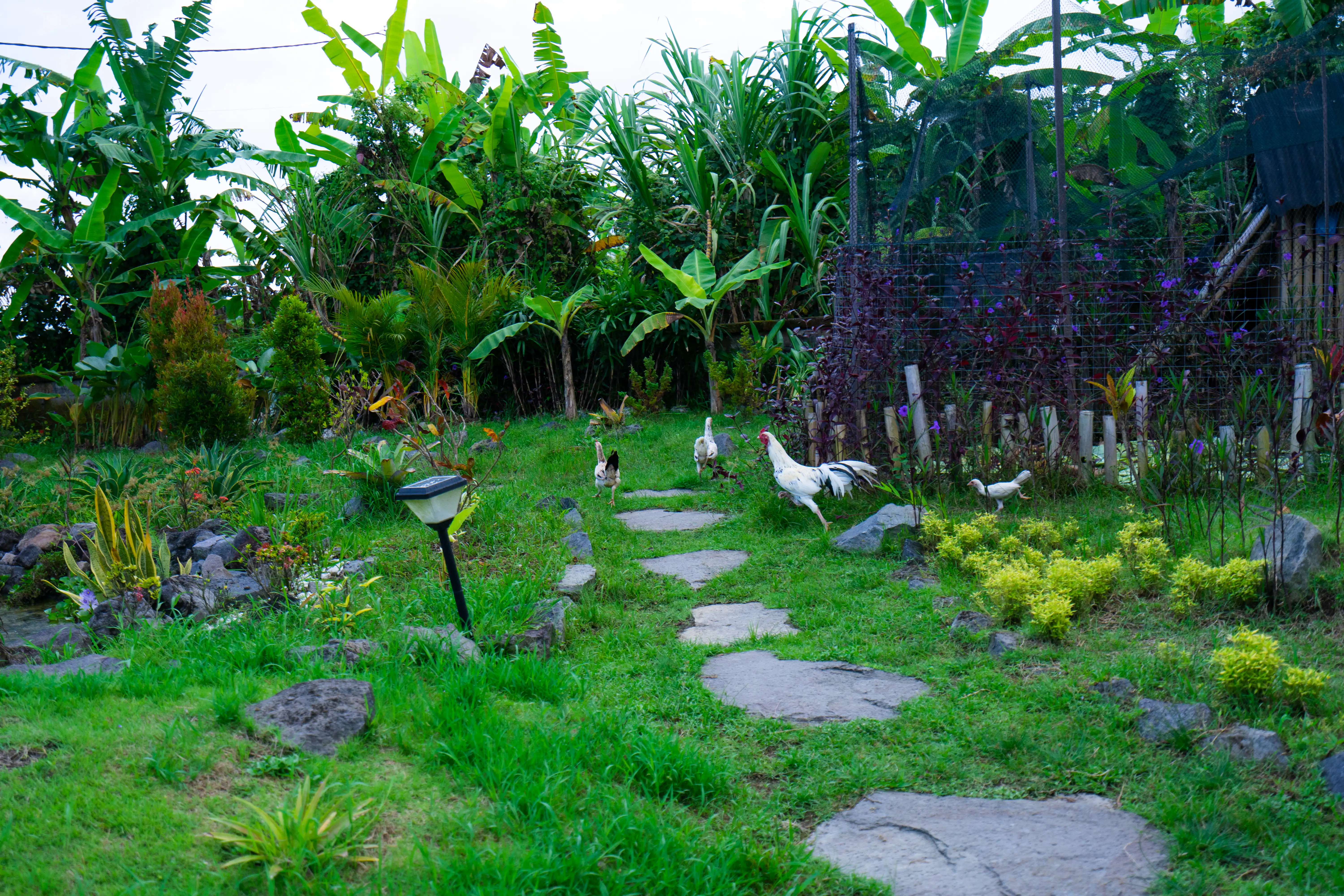 Villa 400m² in Indonesia, Ubud. Priced at 242681$ rent photo-16