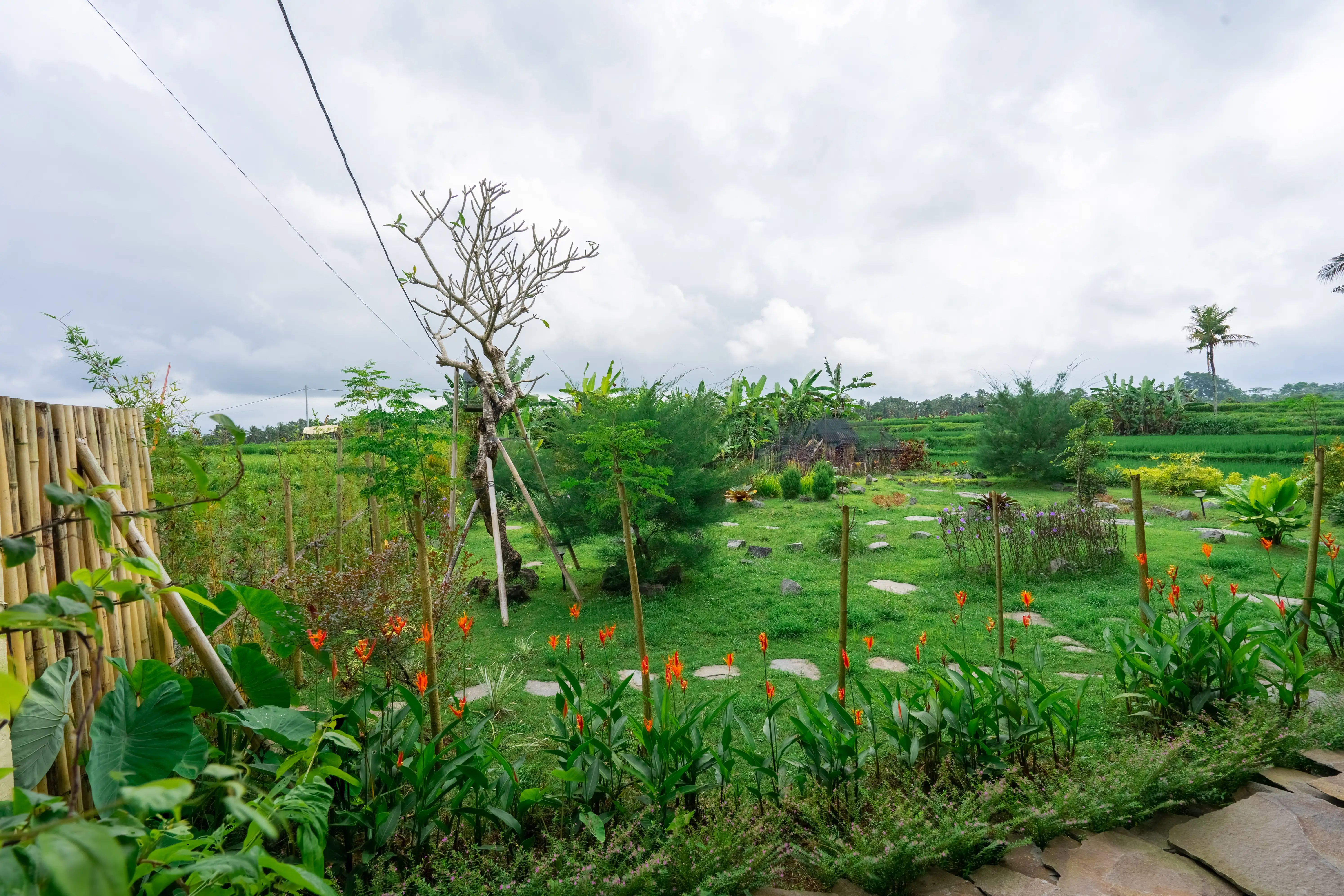 Villa 400m² in Indonesia, Ubud. Priced at 242681$ rent photo-19