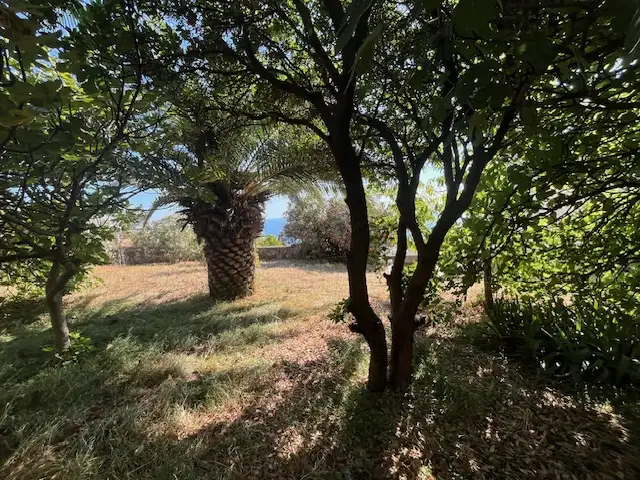 House 140m² in Montenegro, Krimovica. Priced at 280000€ rent photo-20