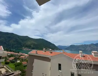Buy in Montenegro for 216000€
