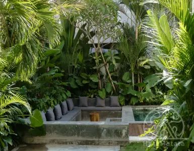 Buy in Indonesia for 1200000$