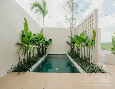 Buy in Indonesia for 299000$