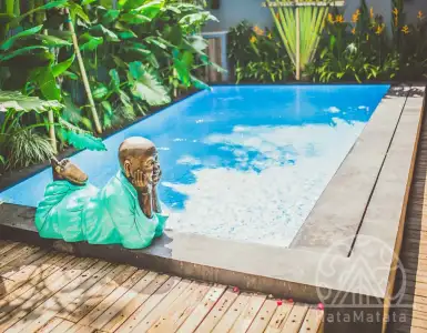 Buy in Indonesia for 120000$