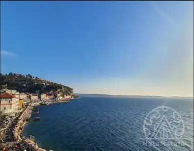 Buy in Slovenia for 670000€