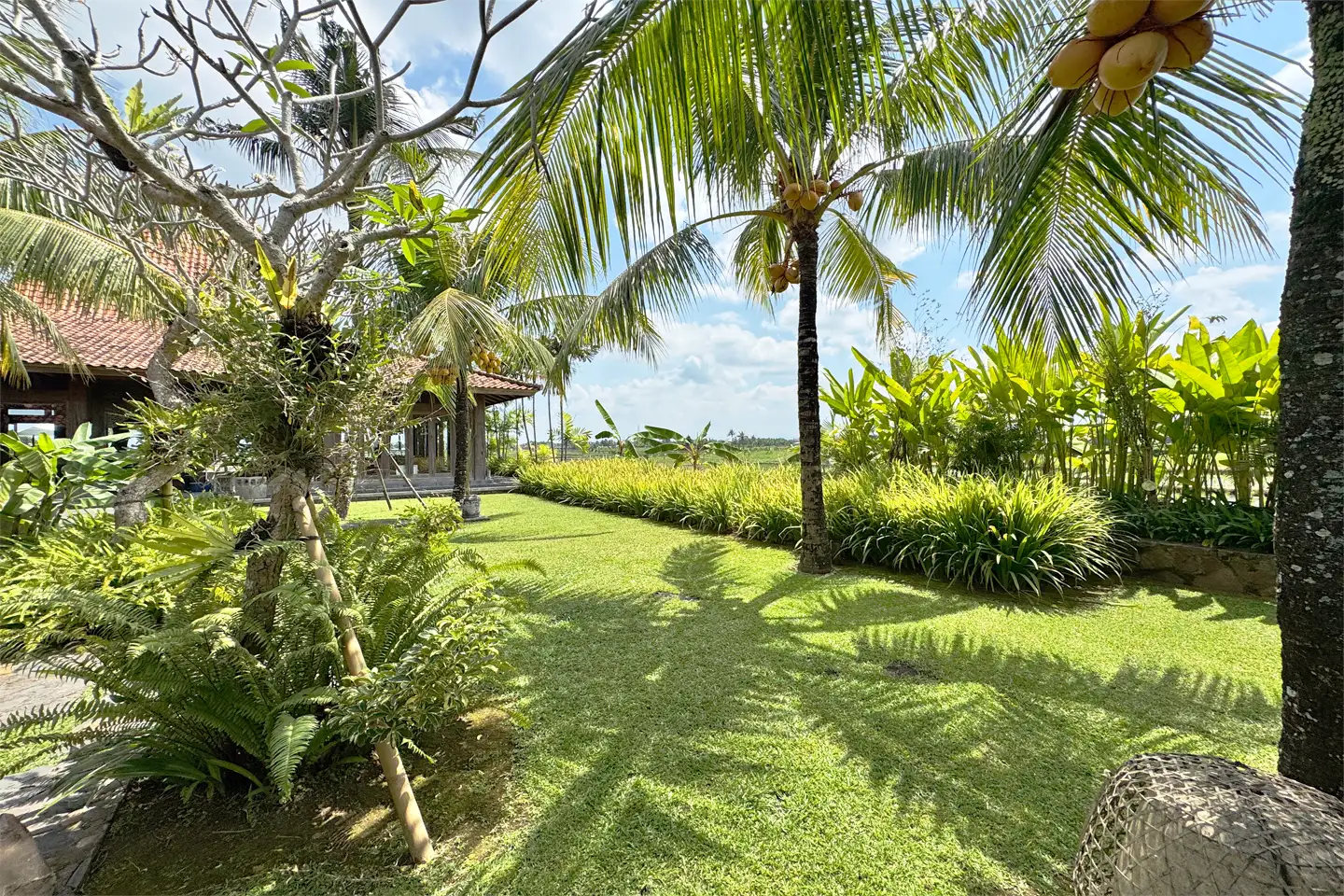 Villa 600m² in Indonesia, Canggu. Priced at 1112000$ rent photo-14