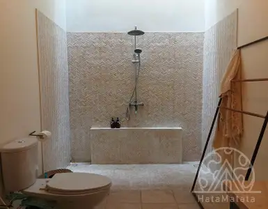 Buy in Indonesia for 160000$