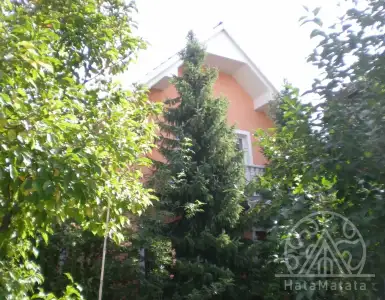 Buy in Slovenia for 662000€