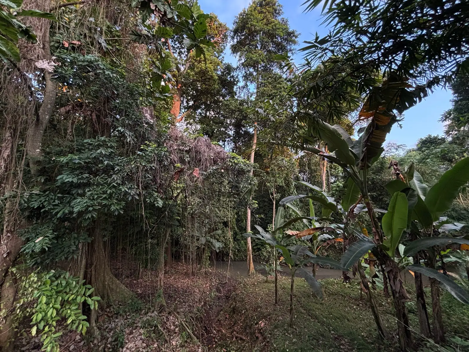 Land 345m² in Indonesia, Canggu. Priced at 61145$ rent photo-1