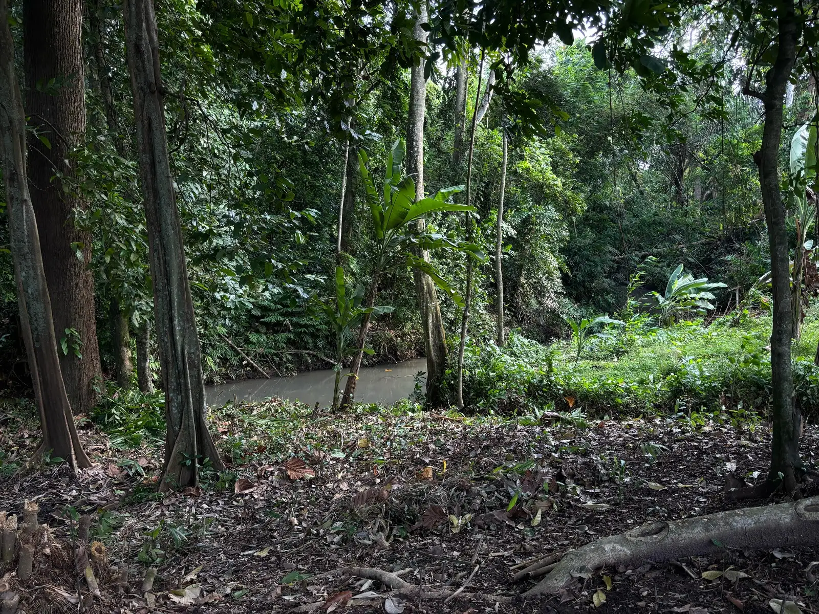Land 345m² in Indonesia, Canggu. Priced at 61145$ rent photo-4
