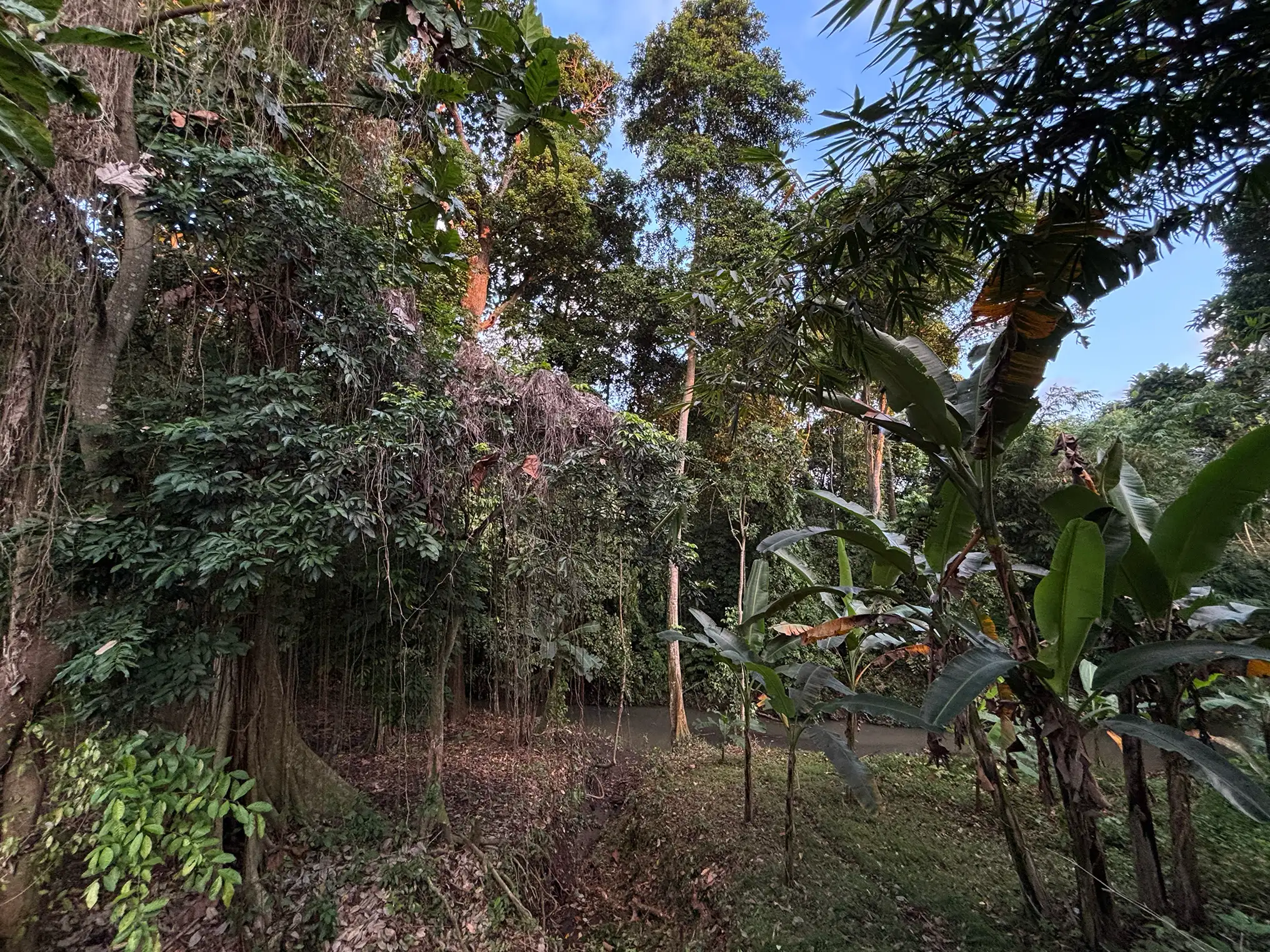 Land 780m² in Indonesia, Canggu. Priced at 134000$ rent photo-1