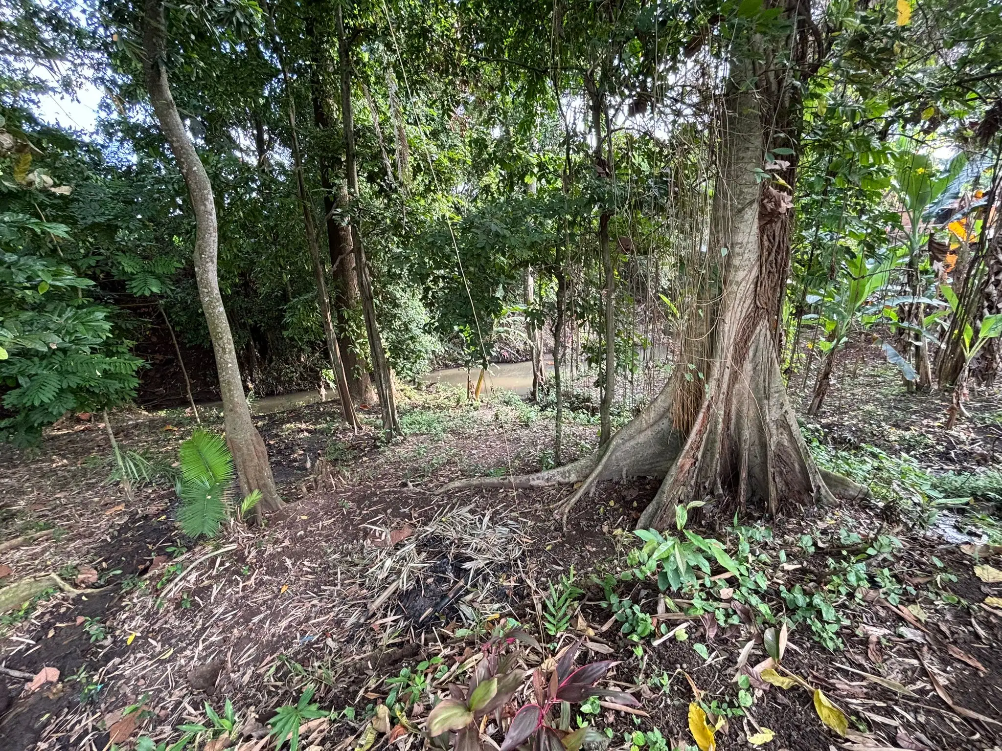 Land 780m² in Indonesia, Canggu. Priced at 134000$ rent photo-2