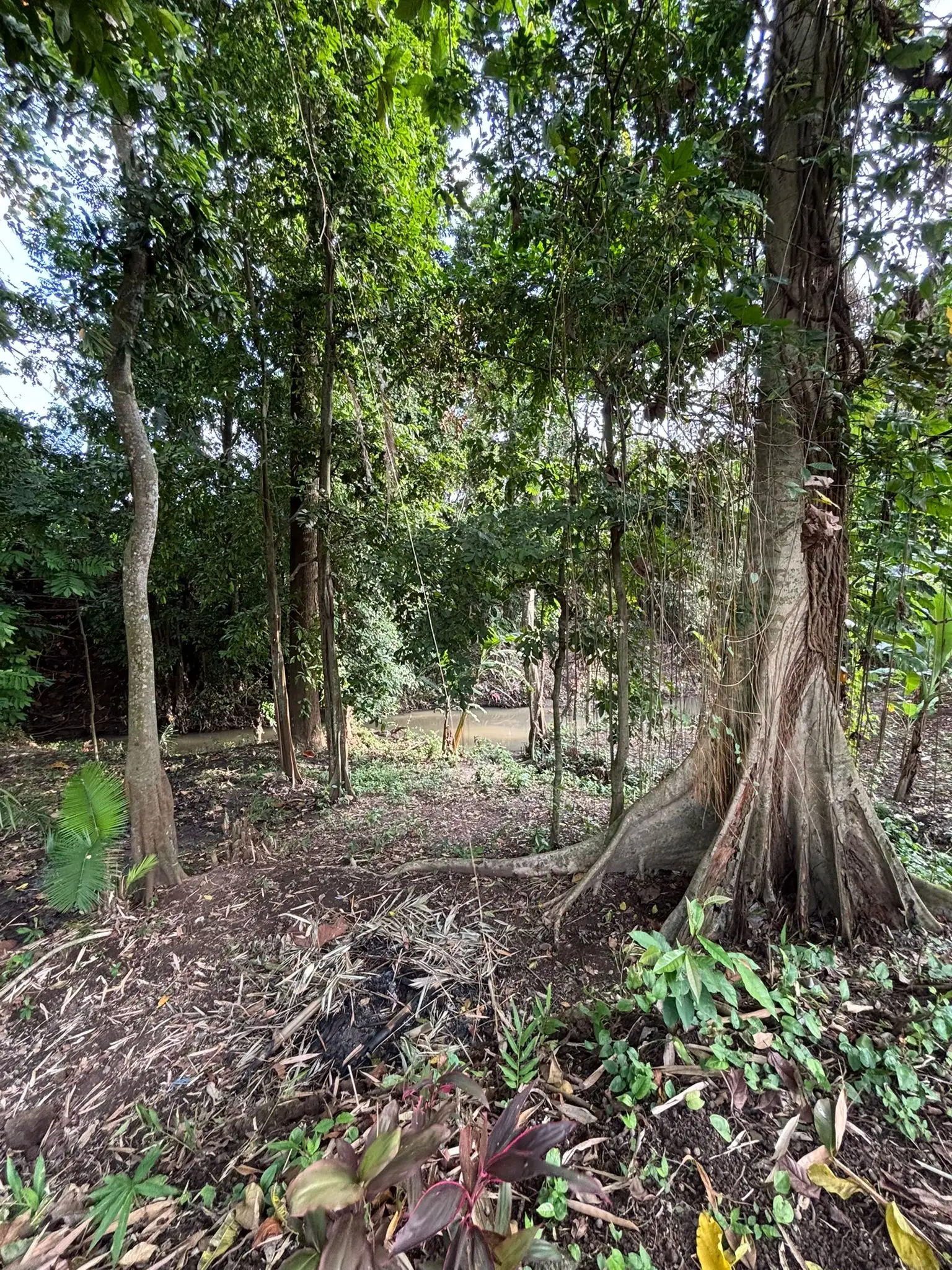 Land 780m² in Indonesia, Canggu. Priced at 134000$ rent photo-3