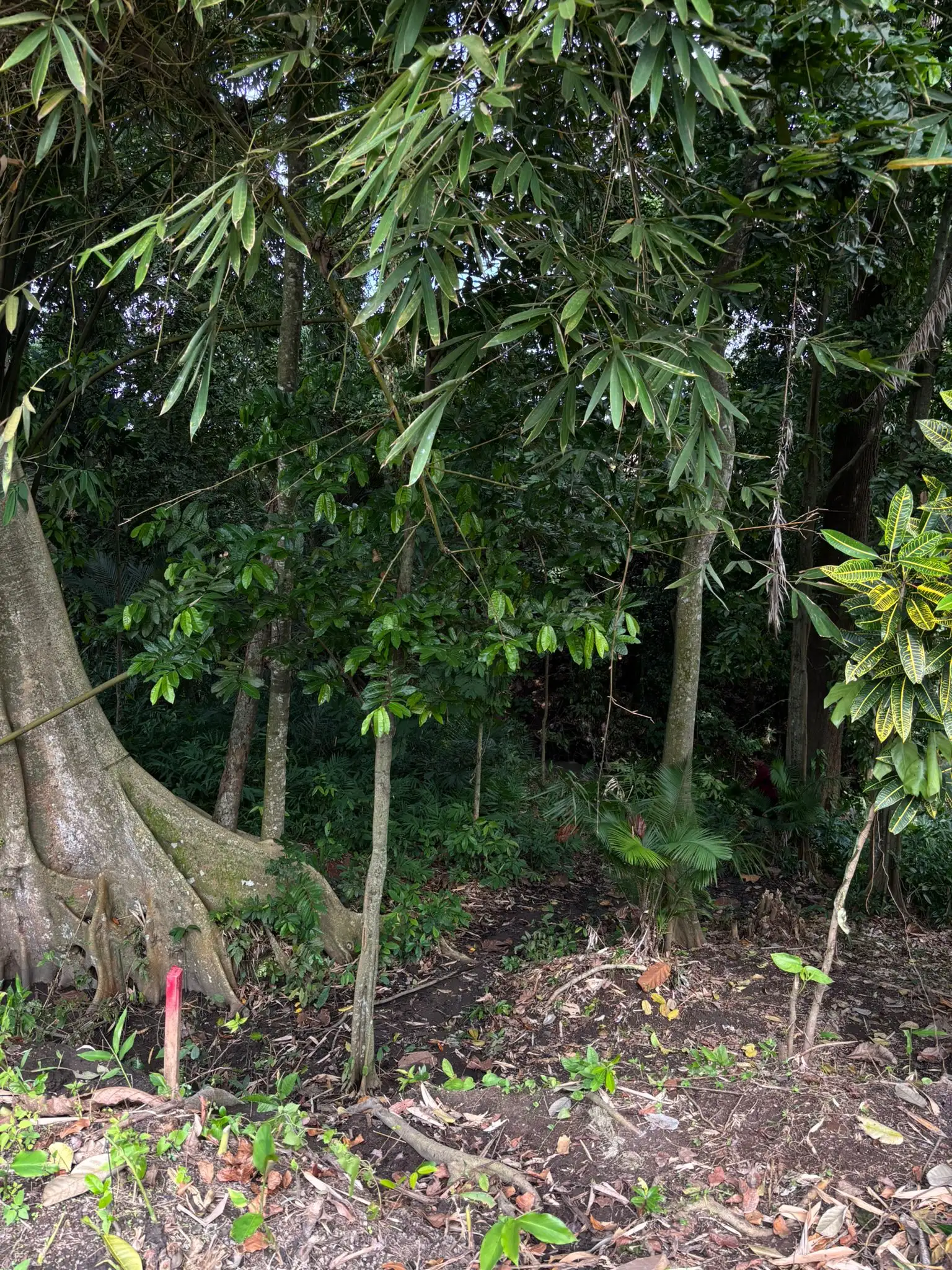 Land 780m² in Indonesia, Canggu. Priced at 134000$ rent photo-4