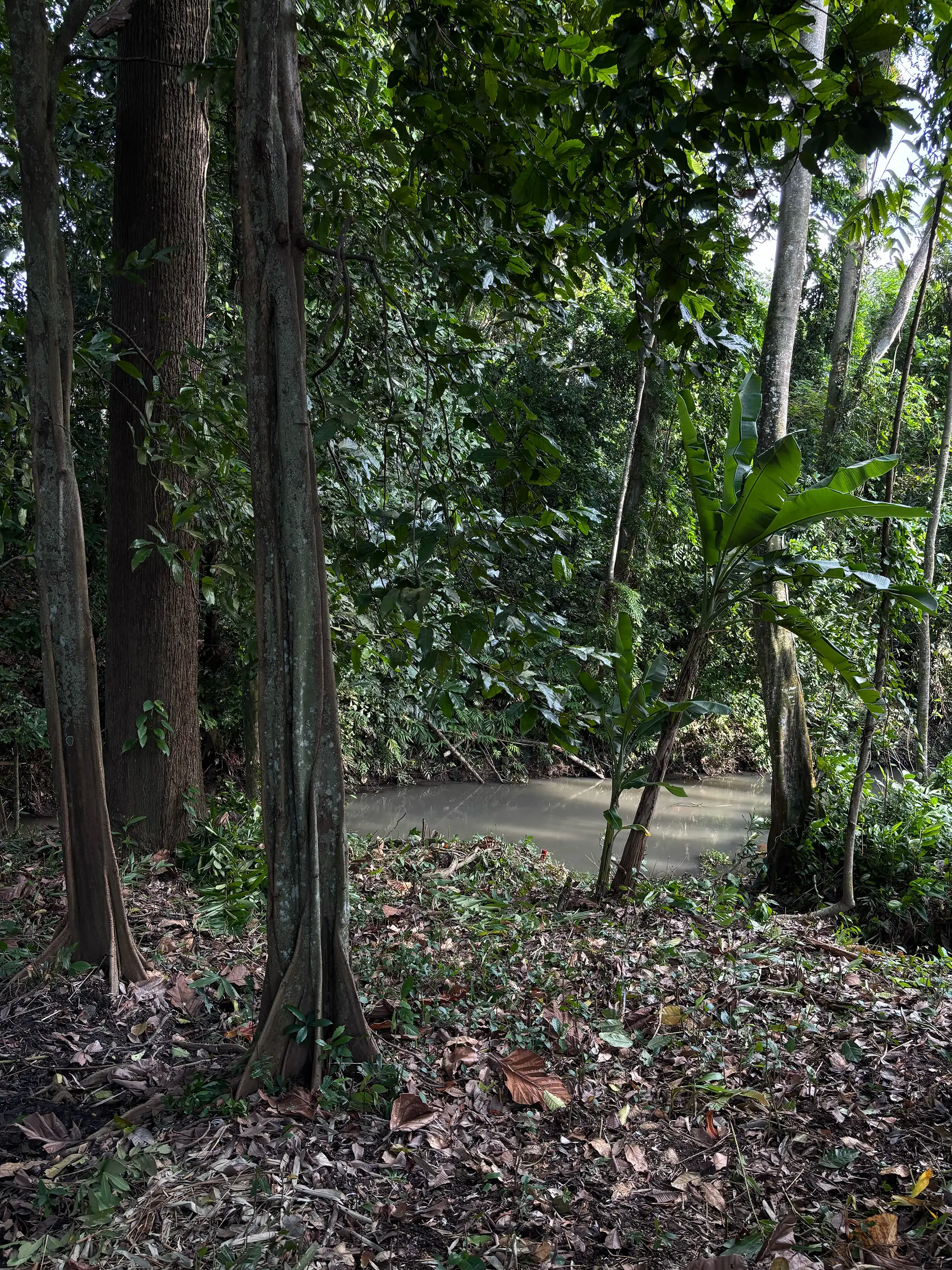 Land 780m² in Indonesia, Canggu. Priced at 134000$ rent photo-5