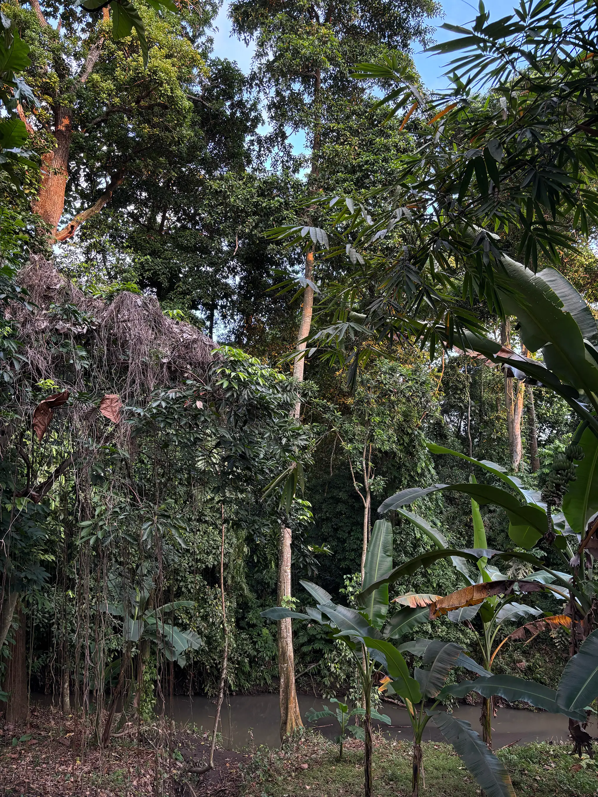 Land 780m² in Indonesia, Canggu. Priced at 134000$ rent photo-6