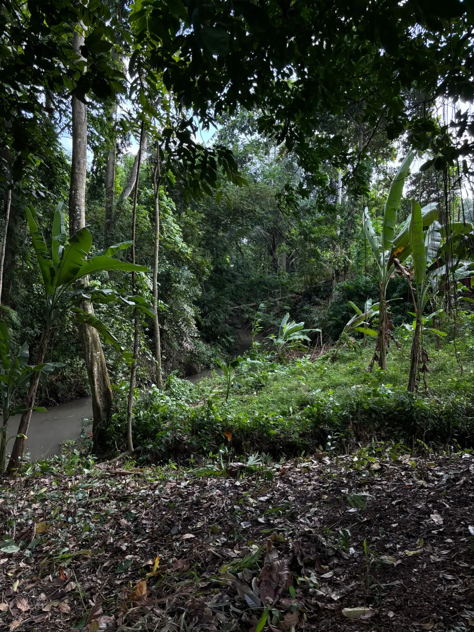 Land 780m² in Indonesia, Canggu. Priced at 134000$ rent photo-8