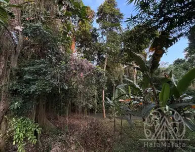 Buy in Indonesia for 61145$