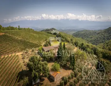 Buy in Italy for 2000000€
