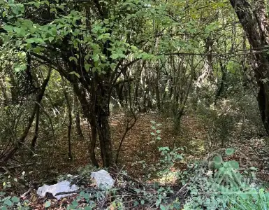 Buy in Montenegro for 50000€