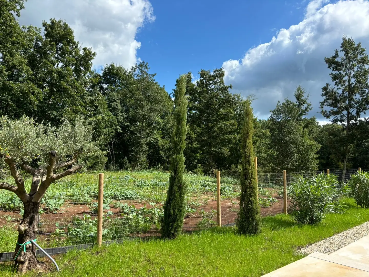 Villa 180m² in Croatia, Pazin. Priced at 885000€ rent photo-3