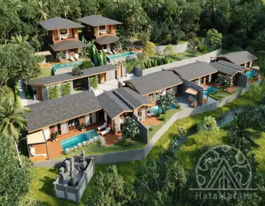 Buy in Indonesia for 685000$