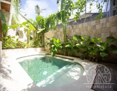 Buy in Indonesia for 299000$