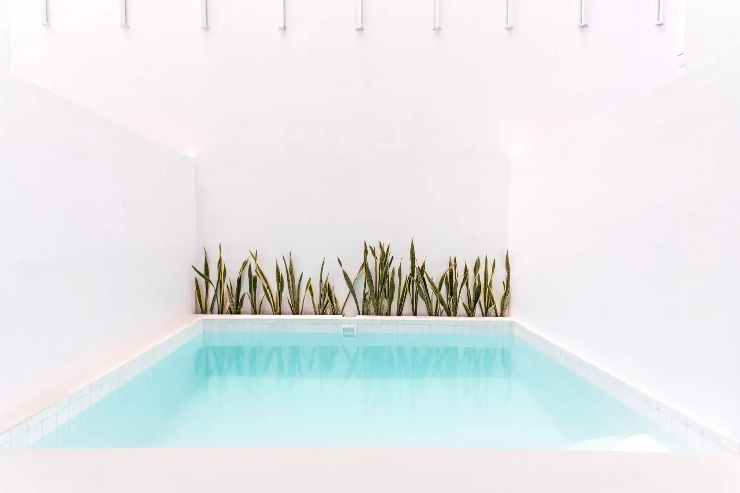 Villa 100m² in Indonesia, Seminyak. Priced at 179000$ rent photo-20