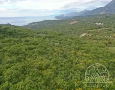 Buy in Montenegro for 60000€
