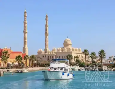 Buy in Egypt for 45000$