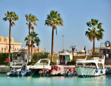 Buy in Egypt for 23000€