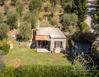 Buy in Italy for 240000€
