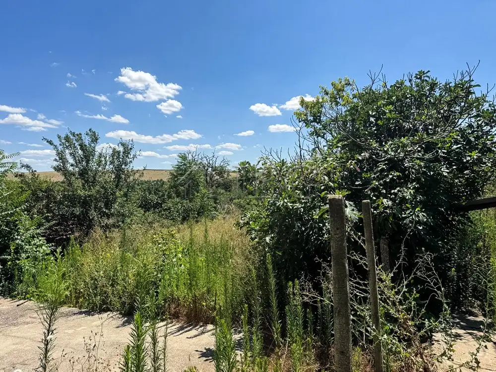 House 90m² in Bulgaria, Piperkovo. Priced at 16000€ rent photo-17