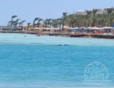 Buy in Egypt for 20000$