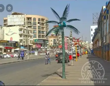 Buy in Egypt for 23000€