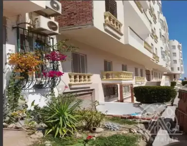 Buy in Egypt for 23000$