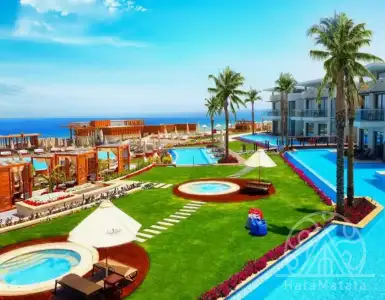 Buy in Egypt for 33000$